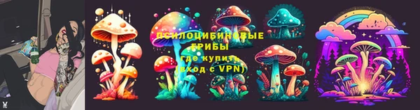 крисы Балахна