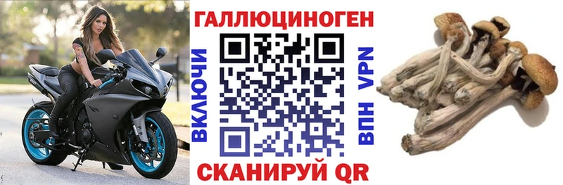 Псилоцибиновые грибы мухоморы  Курчатов 