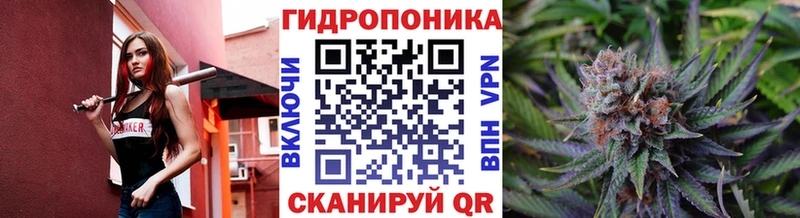 Бошки марихуана VHQ Курчатов